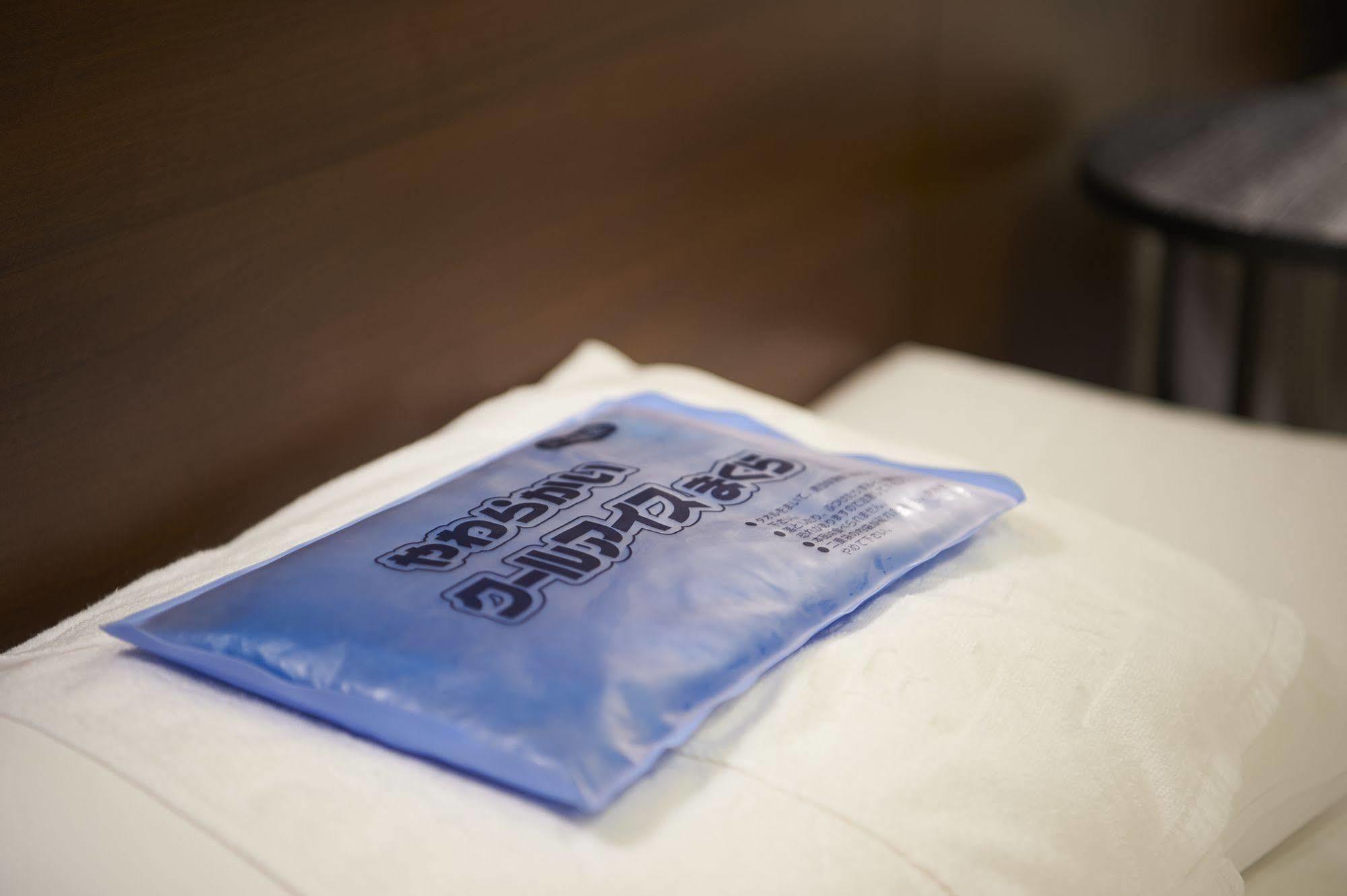 Sotetsu Fresa Ochanomizu Jimbocho Hotel Präfektur Tokio