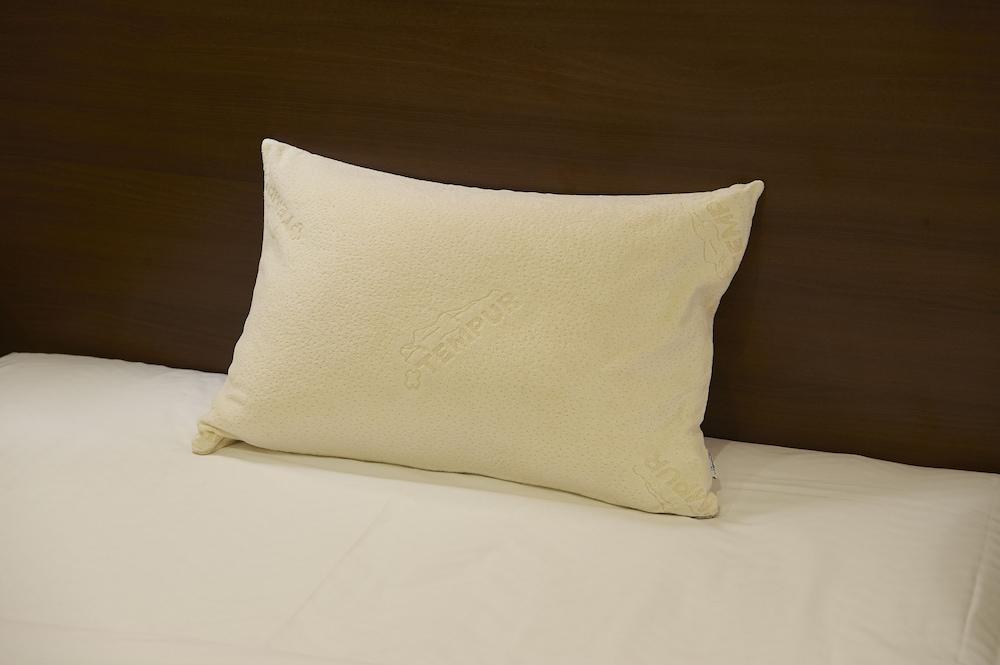 Sotetsu Fresa Ochanomizu Jimbocho 3* Tokio