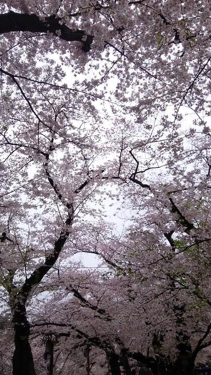 Sotetsu Fresa Ochanomizu Jimbocho Tokio