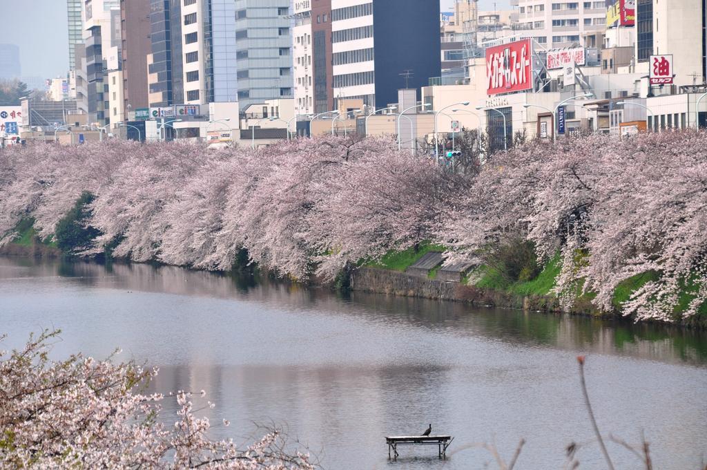 Sotetsu Fresa Ochanomizu Jimbocho 3* Tokio